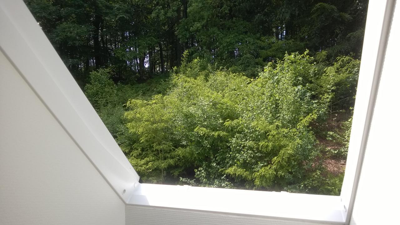Moselundgaard B/B Og Hestehotel Engesvang Esterno foto